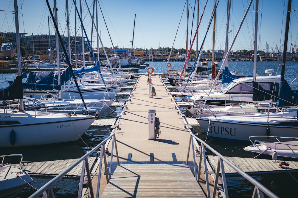 a dock with many sailboats docked at a marina