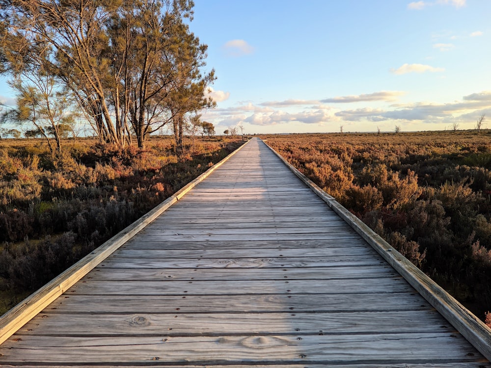 a wooden walkway in the middle of a field