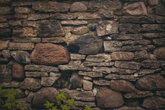 A rustic stone wall made up of various sized rocks stacked together. The stones vary in color from light gray to dark brown, with a rough texture. A few green plants with small leaves are visible at the bottom, suggesting a natural setting.