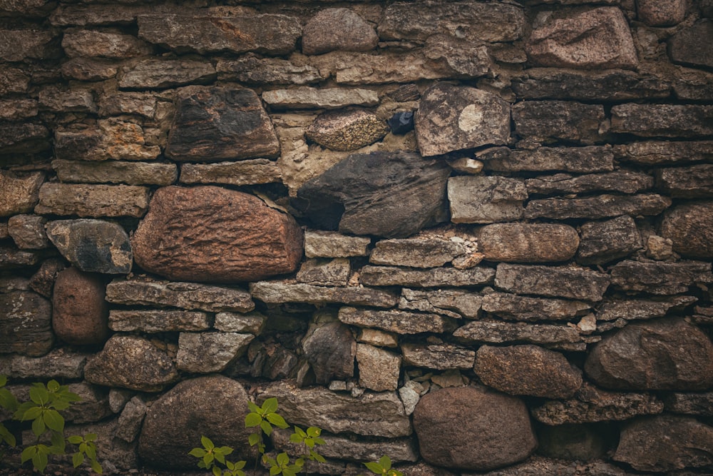 a stone wall with rocks and plants growing out of it
