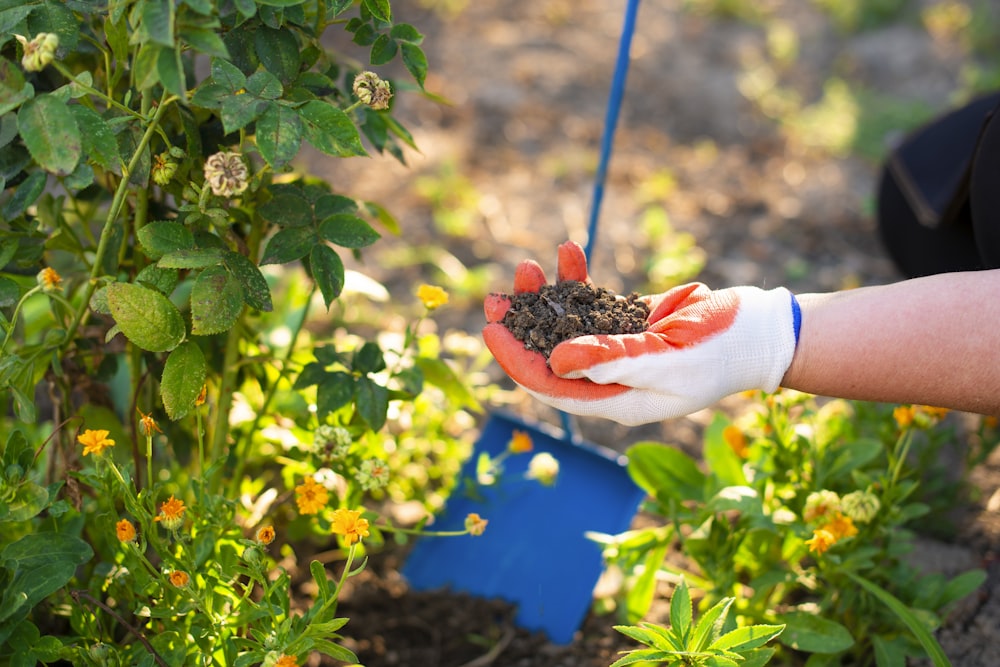 a person holding a handful of dirt in their hand