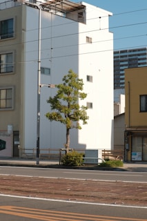 A small tree is situated in front of a set of urban buildings, with a clear blue sky above. The area includes a multi-story residential or office building, with visible windows and balconies. Below the tree, there is a well-maintained sidewalk next to a road, bordered by train tracks.