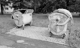 Two large metal dumpsters are positioned on a paved surface outdoors. One dumpster has its lid open with cardboard boxes sticking out, while the other is closed. The surroundings include grass and trees, creating a park-like setting. The image is in black and white.