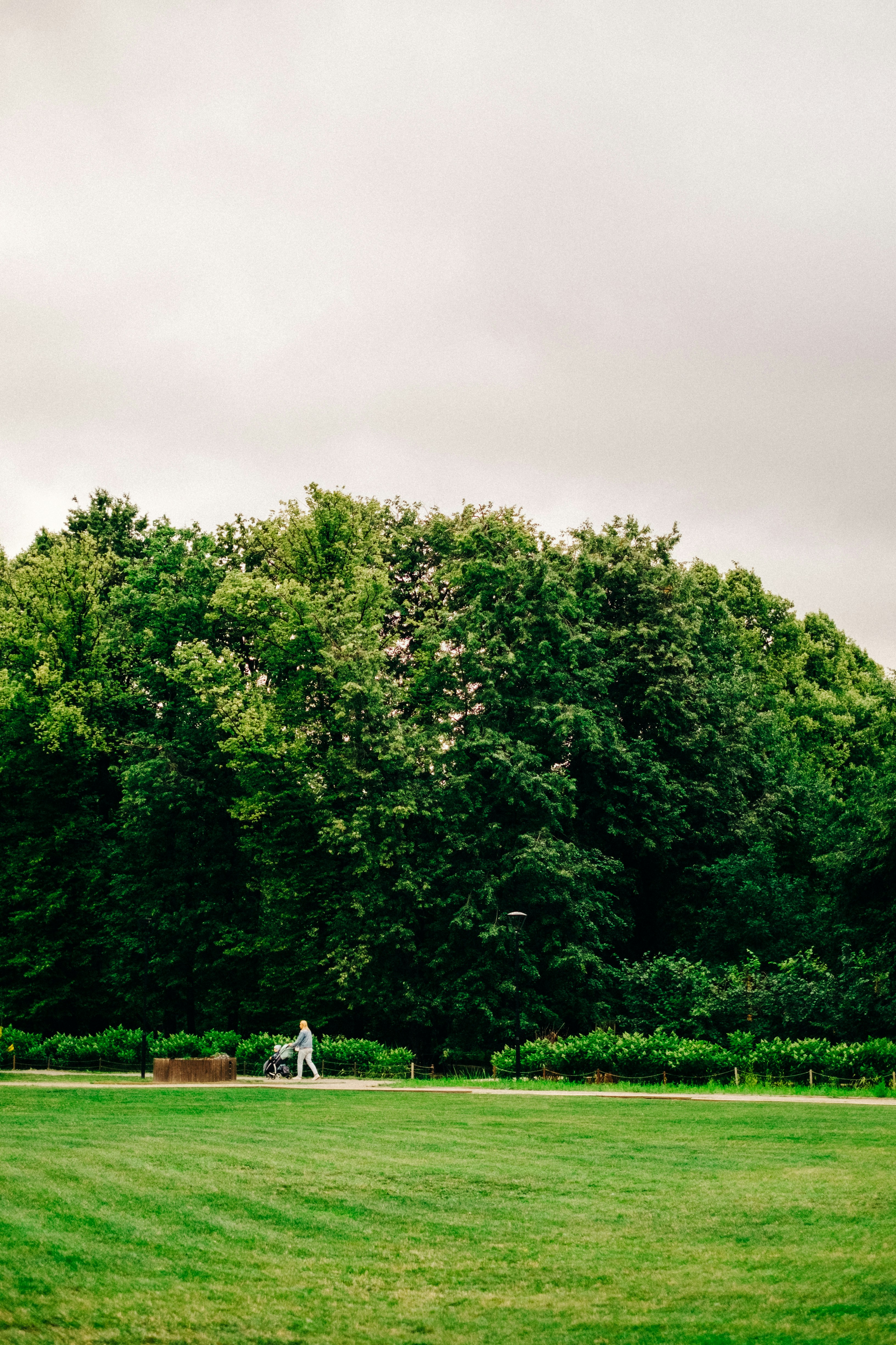 a person standing in the middle of a lush green field
