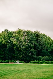 a person standing in the middle of a lush green field