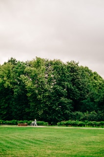 a person standing in the middle of a lush green field