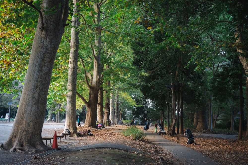 a group of people sitting on a bench in a park