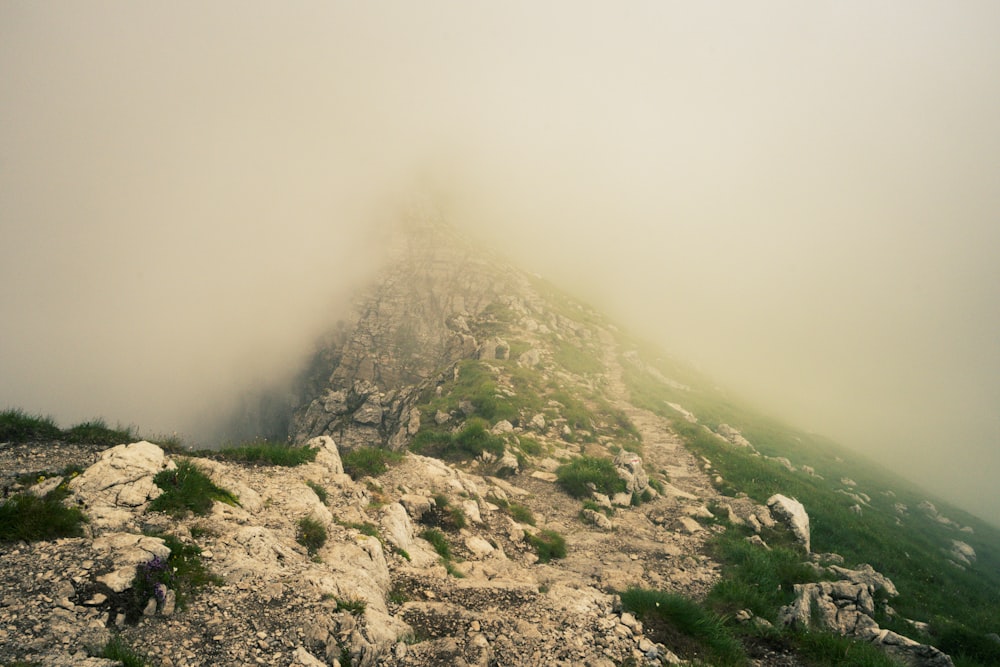 a foggy mountain top with rocks and grass