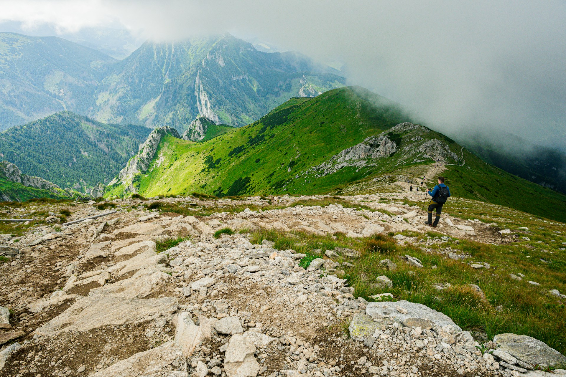 black and white bed linen