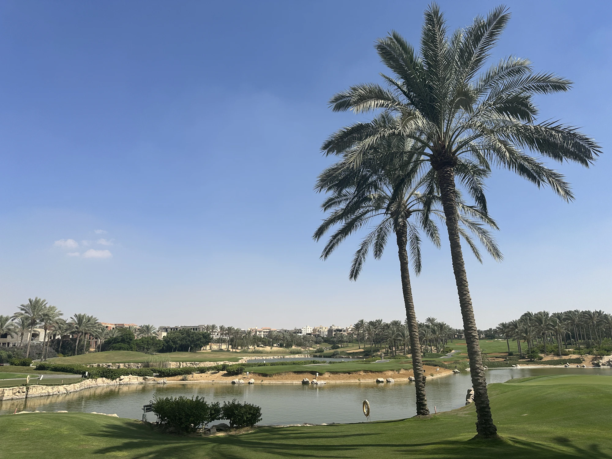 Parcours de golf bordé de palmiers