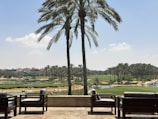 A serene outdoor setting featuring several palm trees in the foreground with a view of a vast green golf course and a clear blue sky. Comfortable patio furniture is arranged on a stone-paved terrace overlooking a small body of water and the lush landscape in the background.