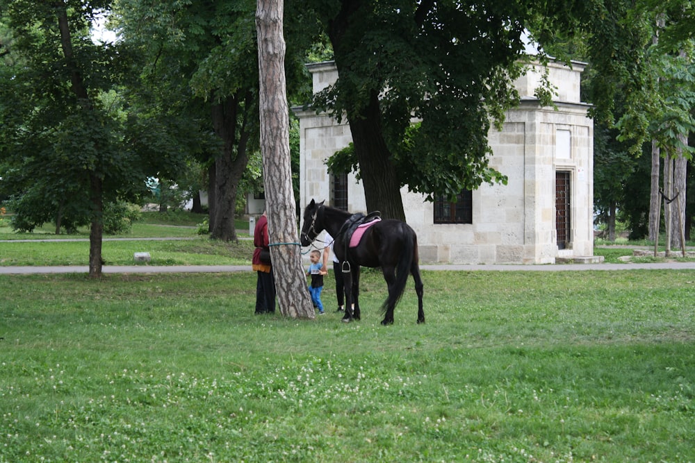 a black horse standing next to a tree on a lush green field