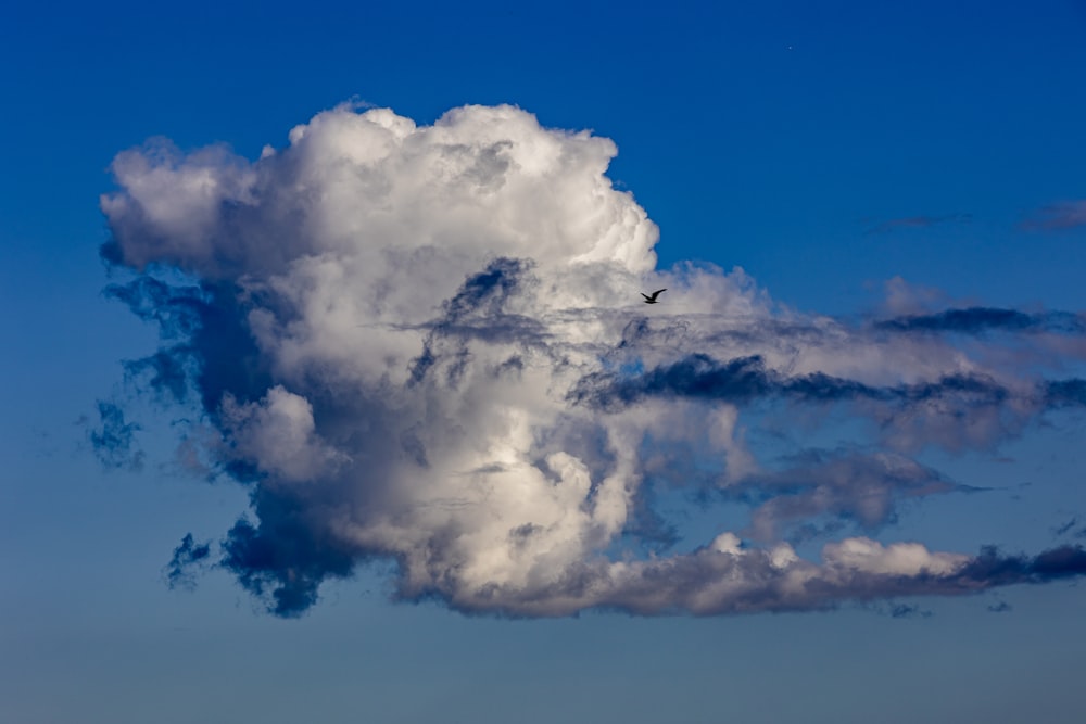 a bird flying through a cloud in the sky