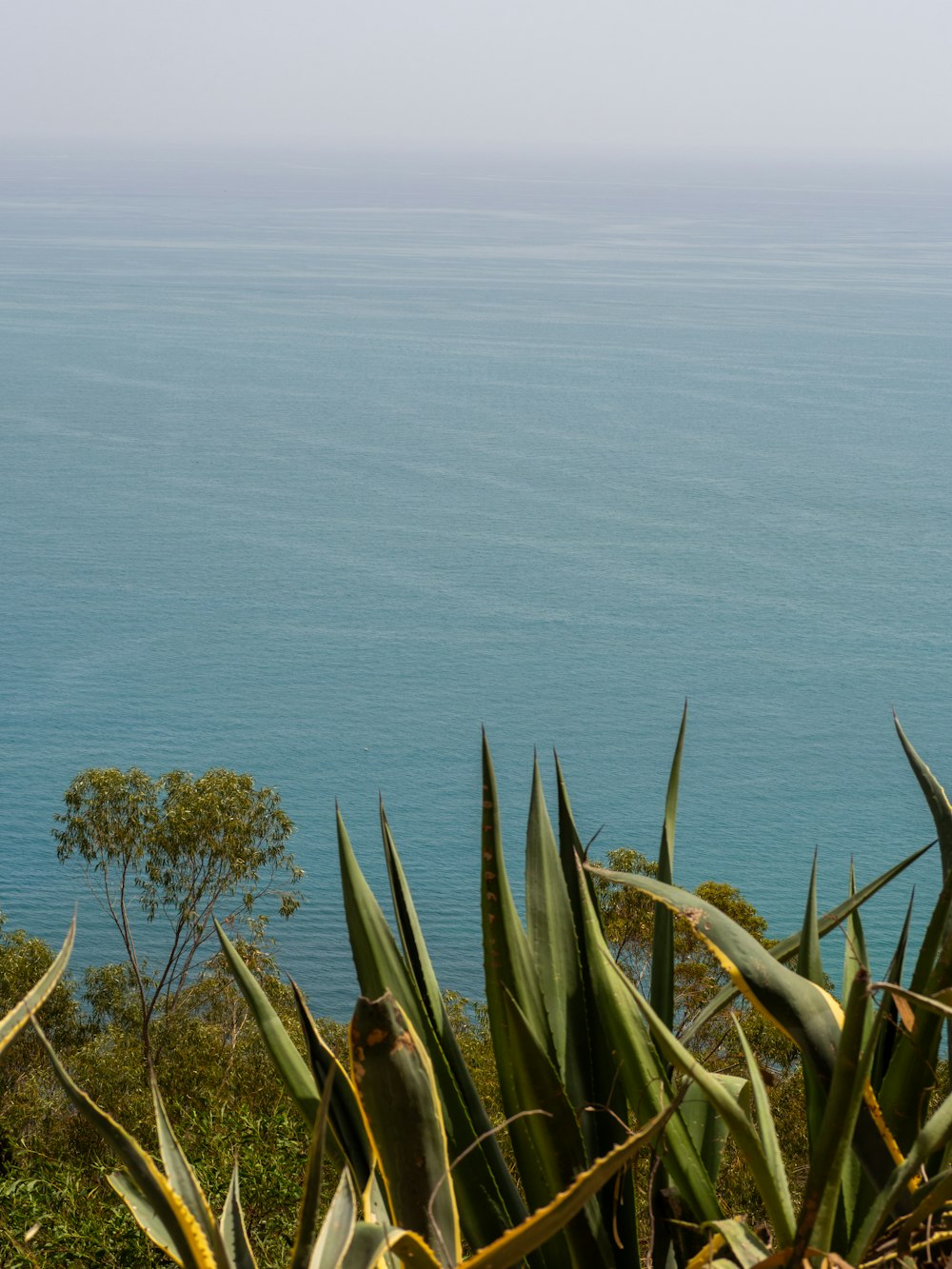 a view of a body of water from a hill