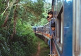 A group of young people lean out of the window of a moving train as it travels through a lush, tropical forest. The train cars extend back into the distance, curving gently along the track. The dense greenery surrounds the train, with large leaves and branches visible.