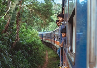 A group of young people lean out of the window of a moving train as it travels through a lush, tropical forest. The train cars extend back into the distance, curving gently along the track. The dense greenery surrounds the train, with large leaves and branches visible.