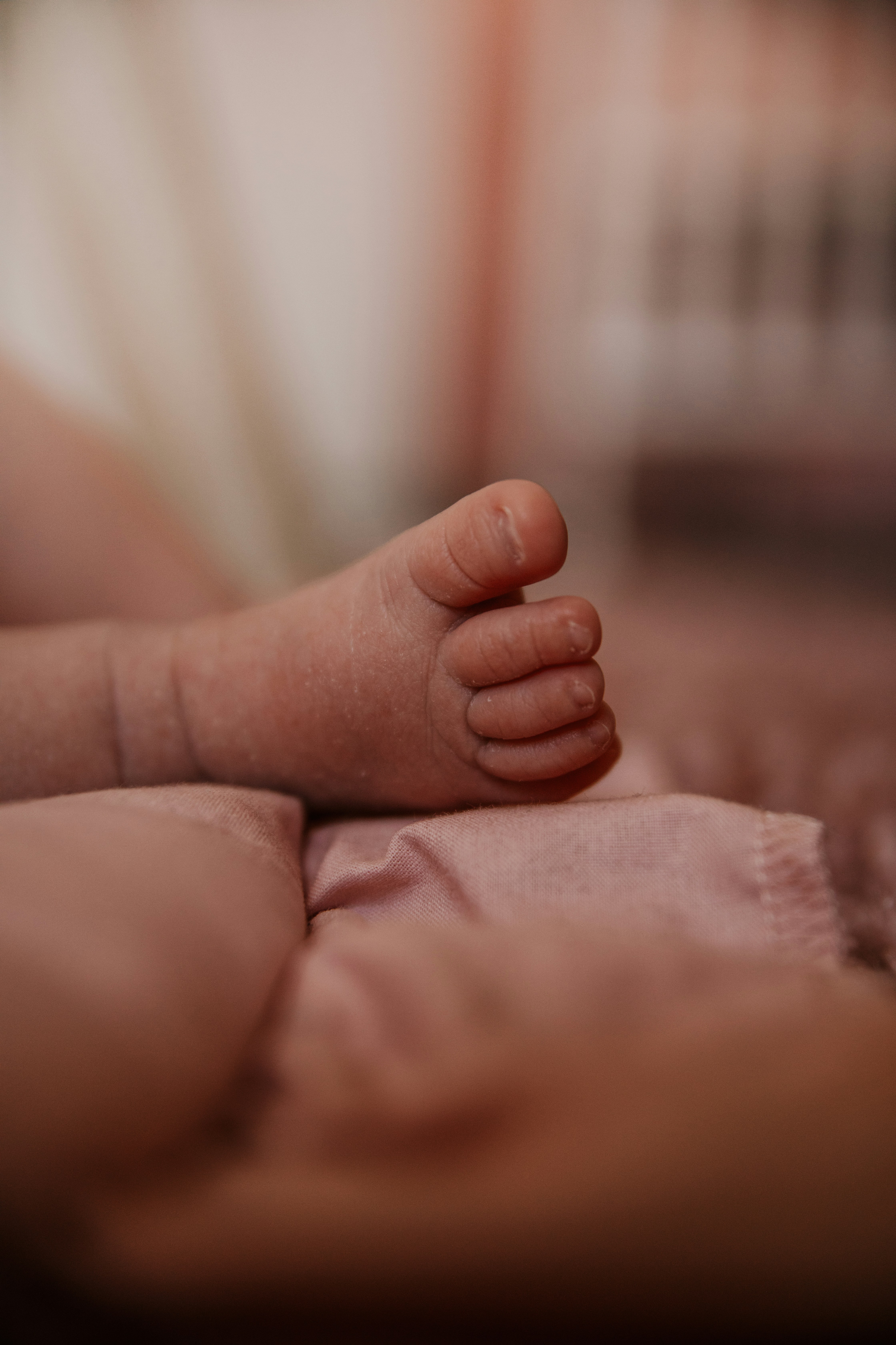 Photo by tamaragovedarov