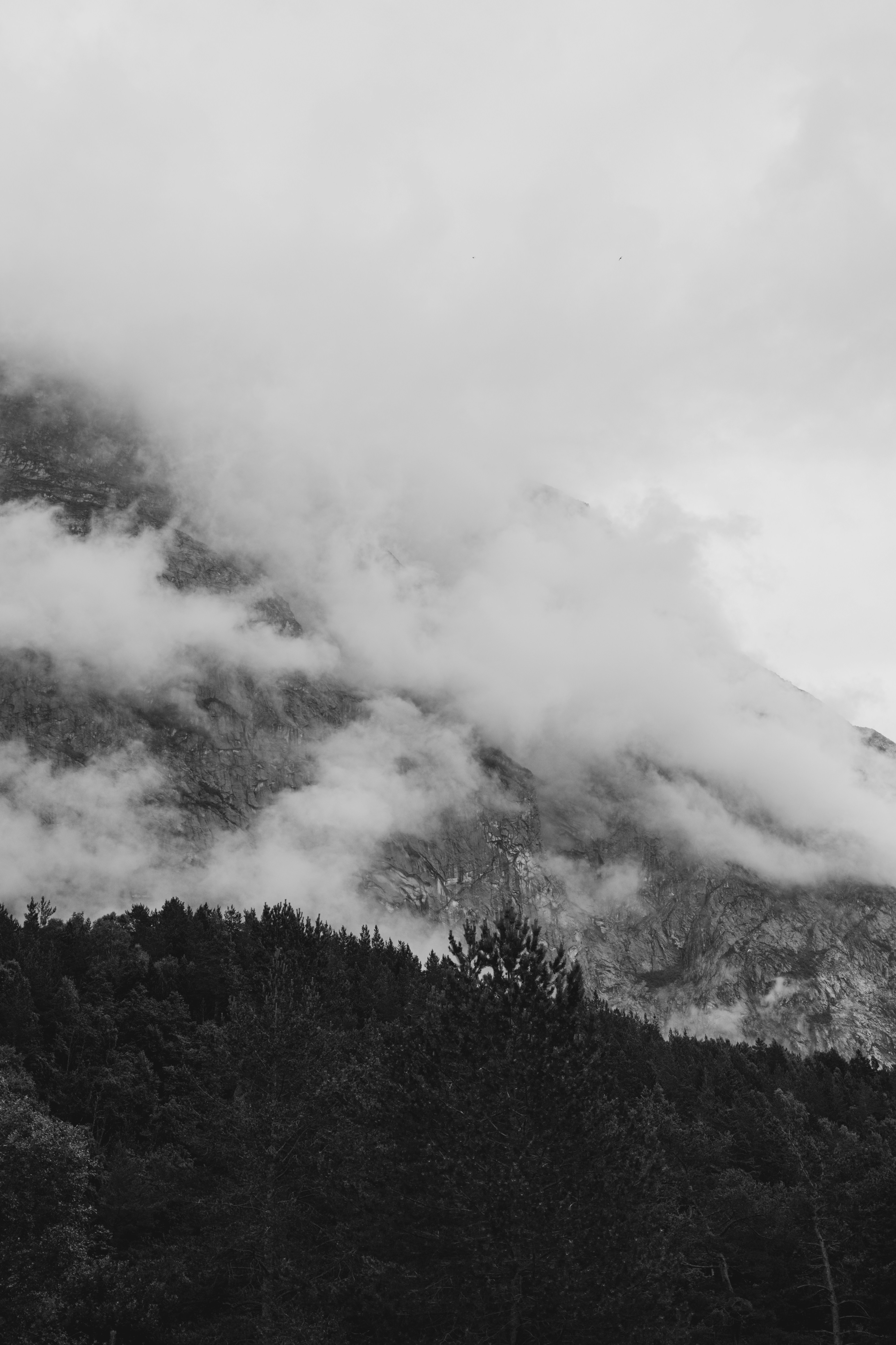 Photo by fredrikposse