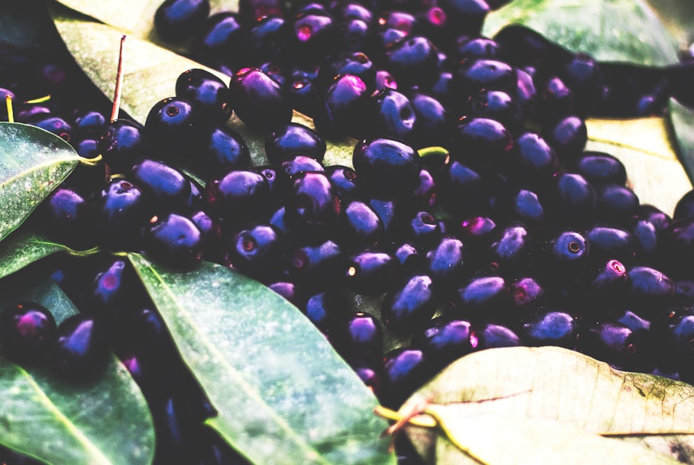 a close up of a bunch of black olives