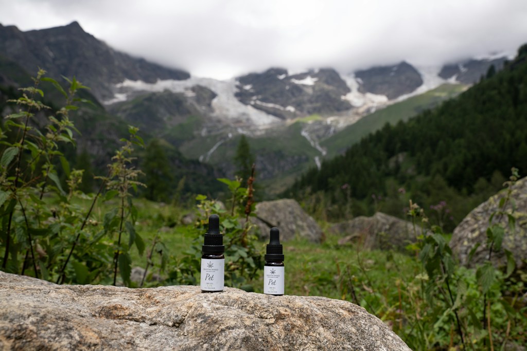 Artisan Resin