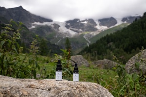 Artisan Resin
