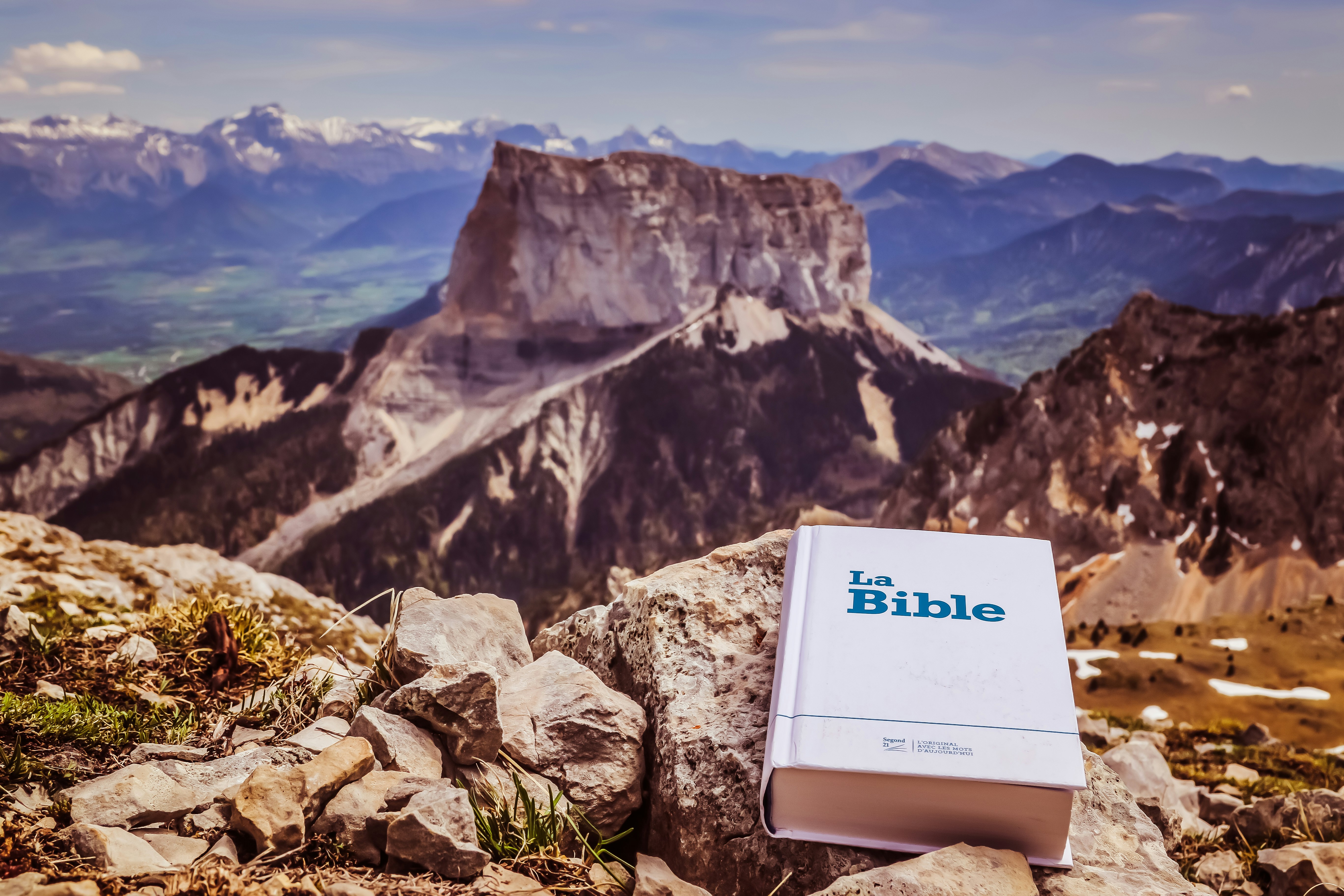 La guía definitiva para encontrar software de negocios en Ribeira