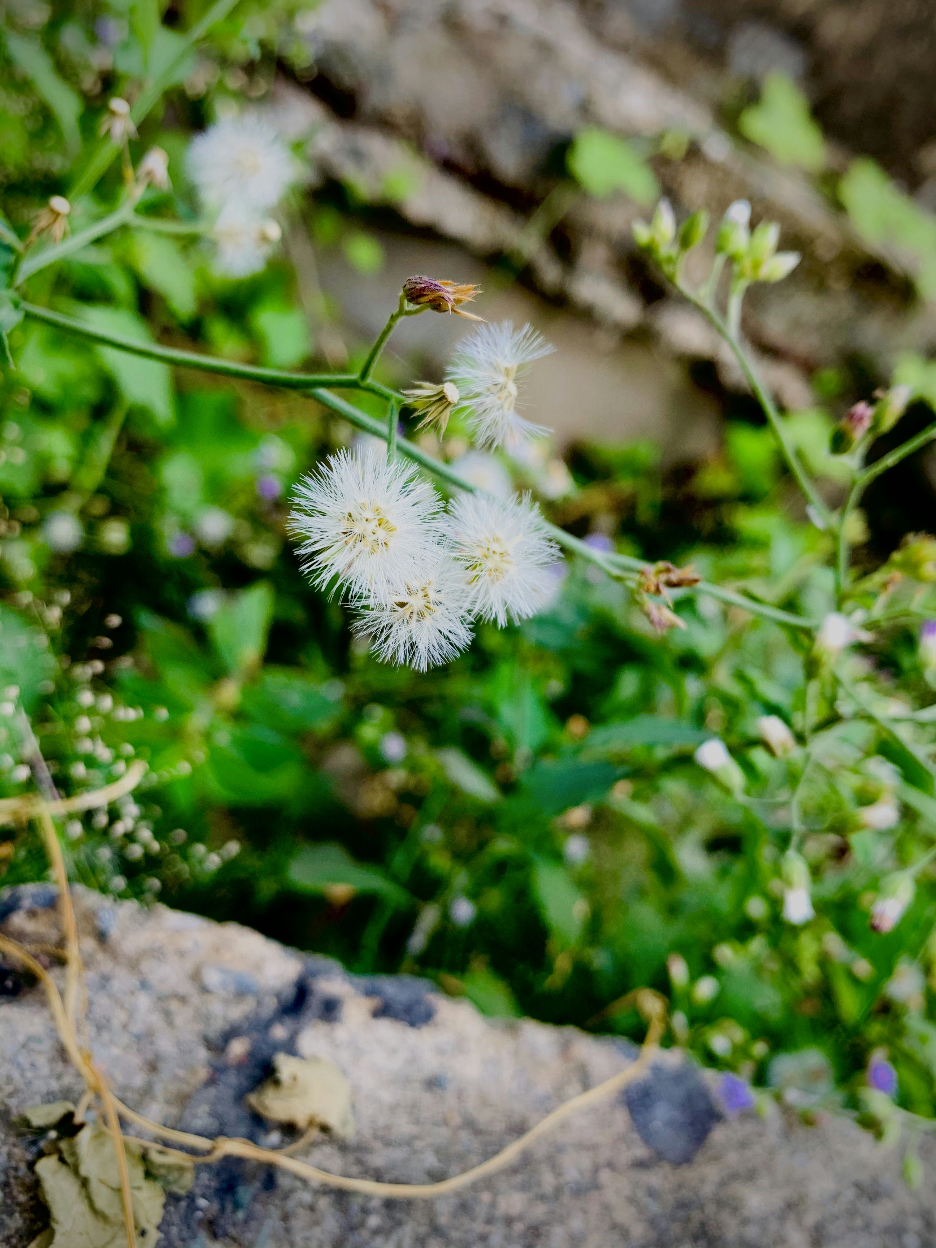 Photo by the_infinity_pictures