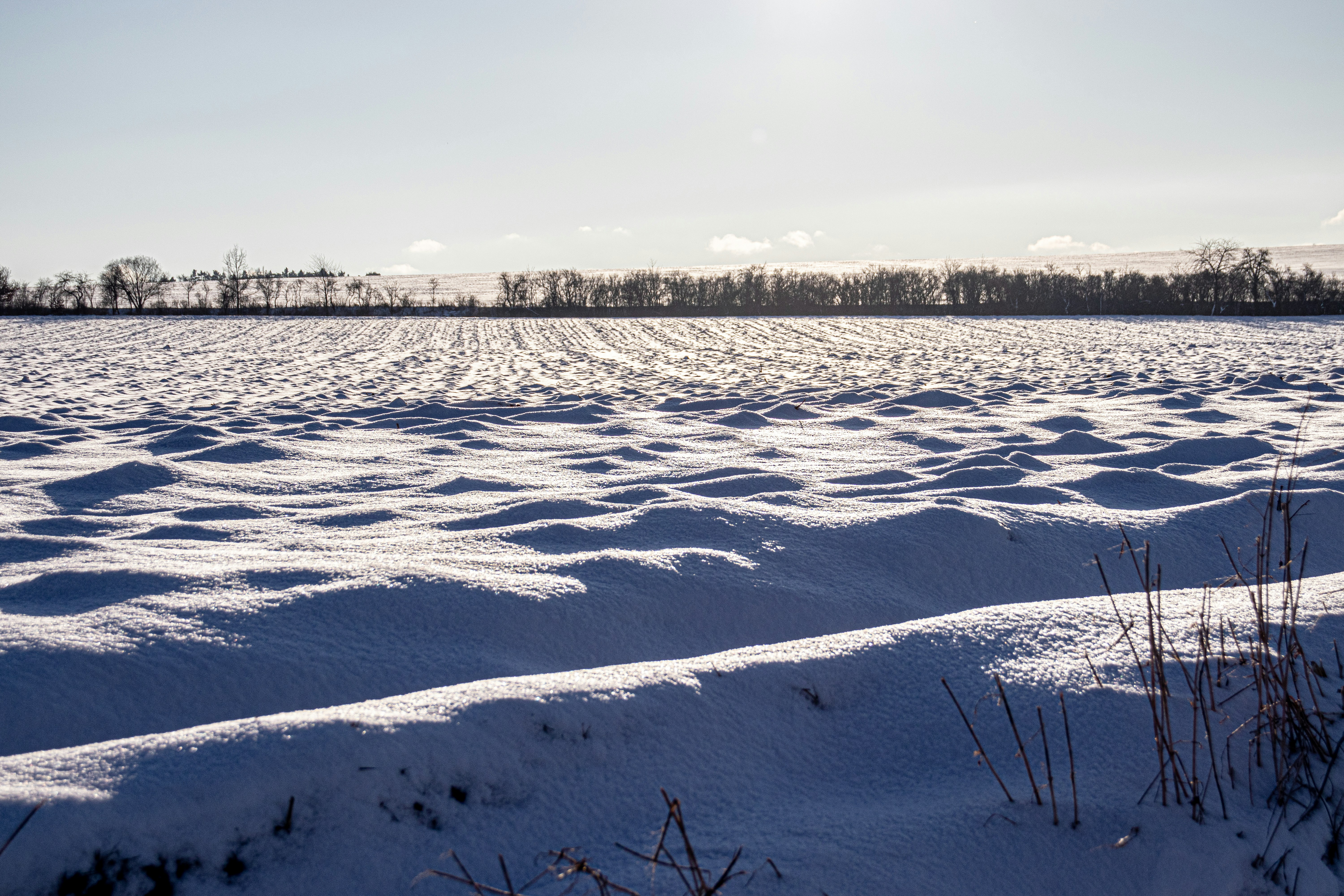 a vast, snowy Polish field, representing a single estate - luxury Polish vodka