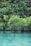 Photo of a serene turquoise lagoon surrounded by lush green mangroves in Nosy Be.