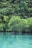 Photo of a serene turquoise lagoon surrounded by lush green mangroves in Nosy Be.