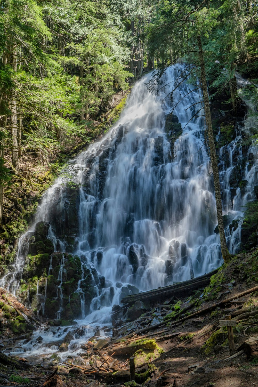 a large waterfall in the middle of a forest