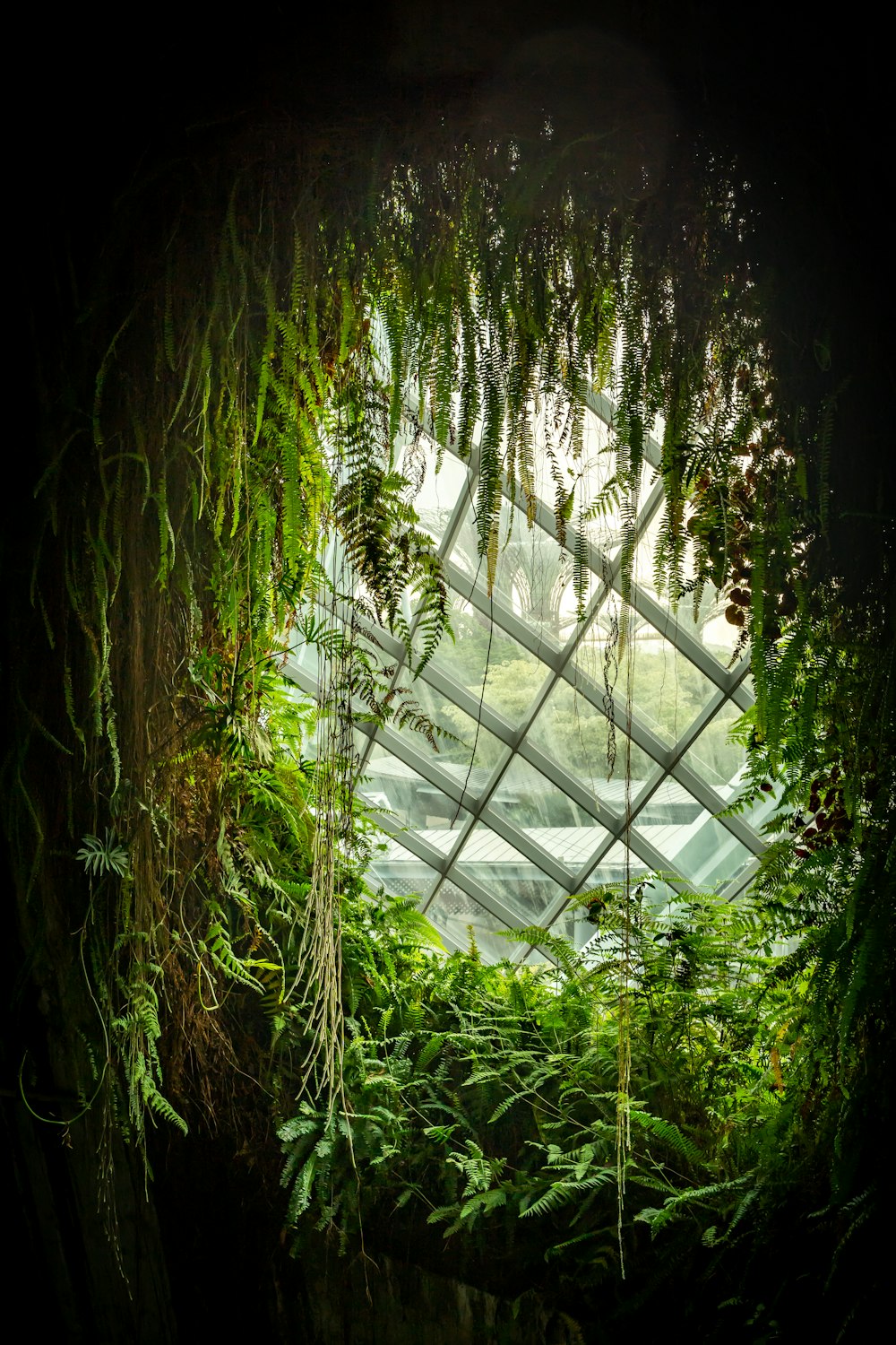 the inside of a building with plants growing inside of it