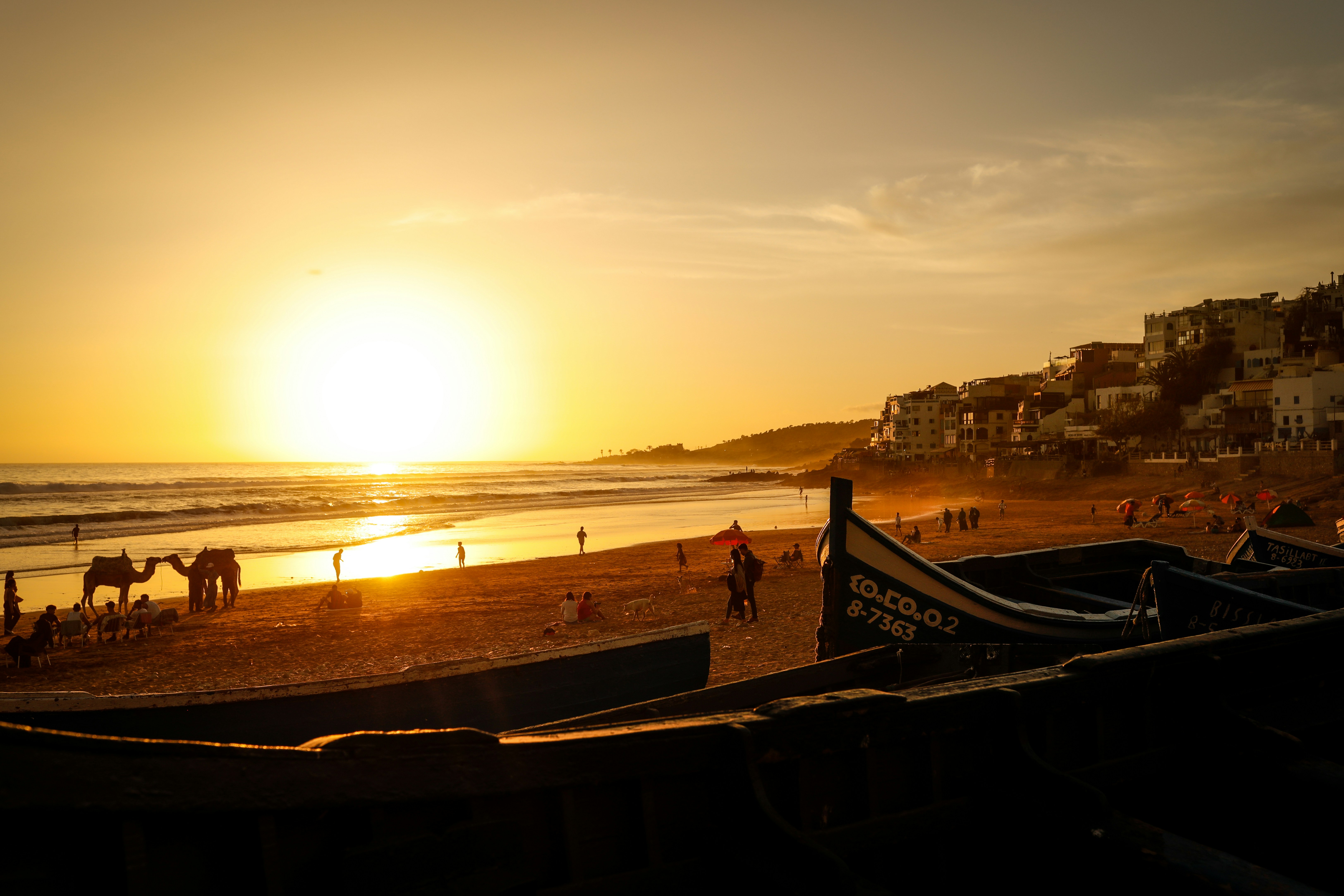 a group of people on a beach at sunset, 