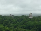 Ancient temple ruins rising through a misty jungle morning.