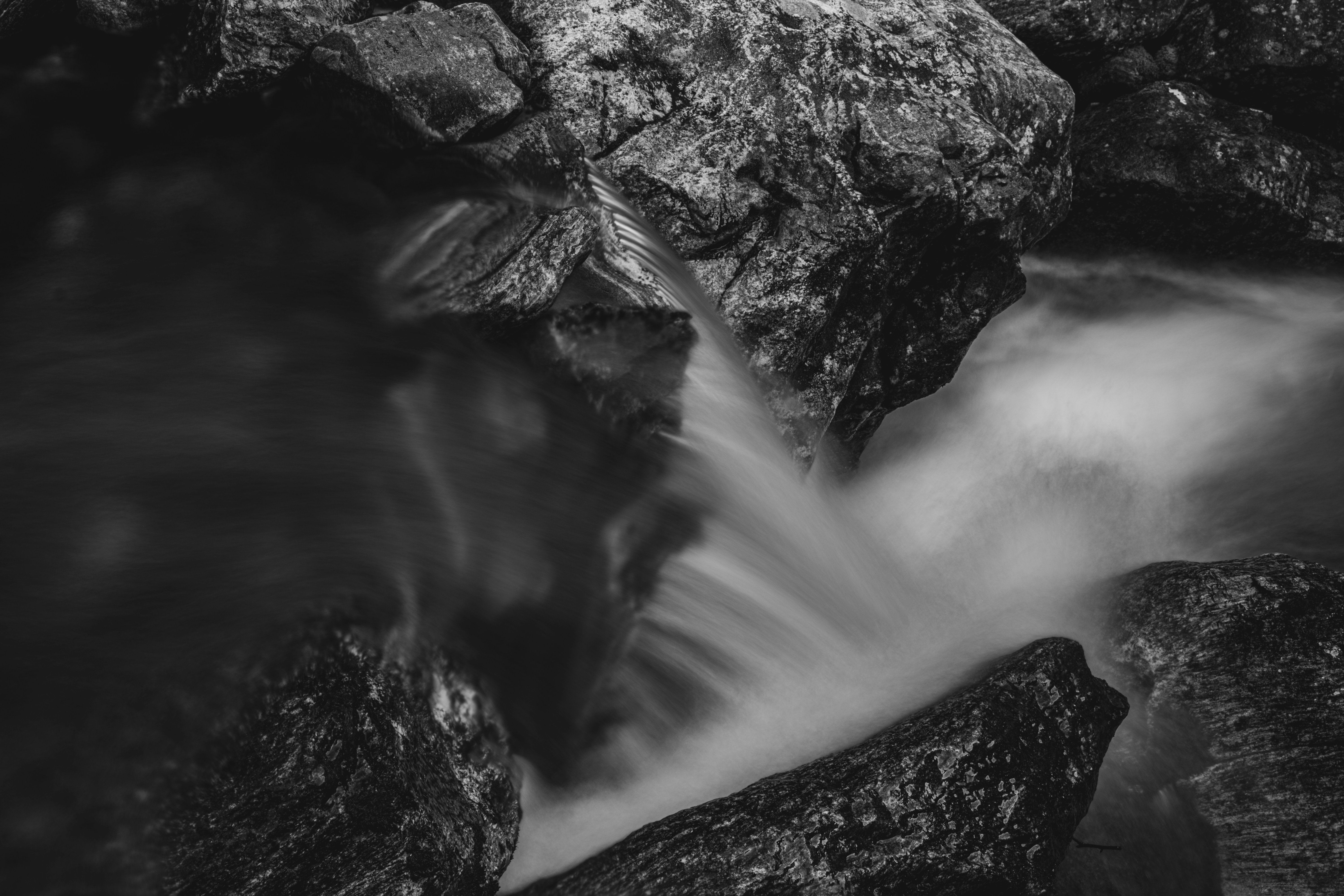 Photo by fredrikposse