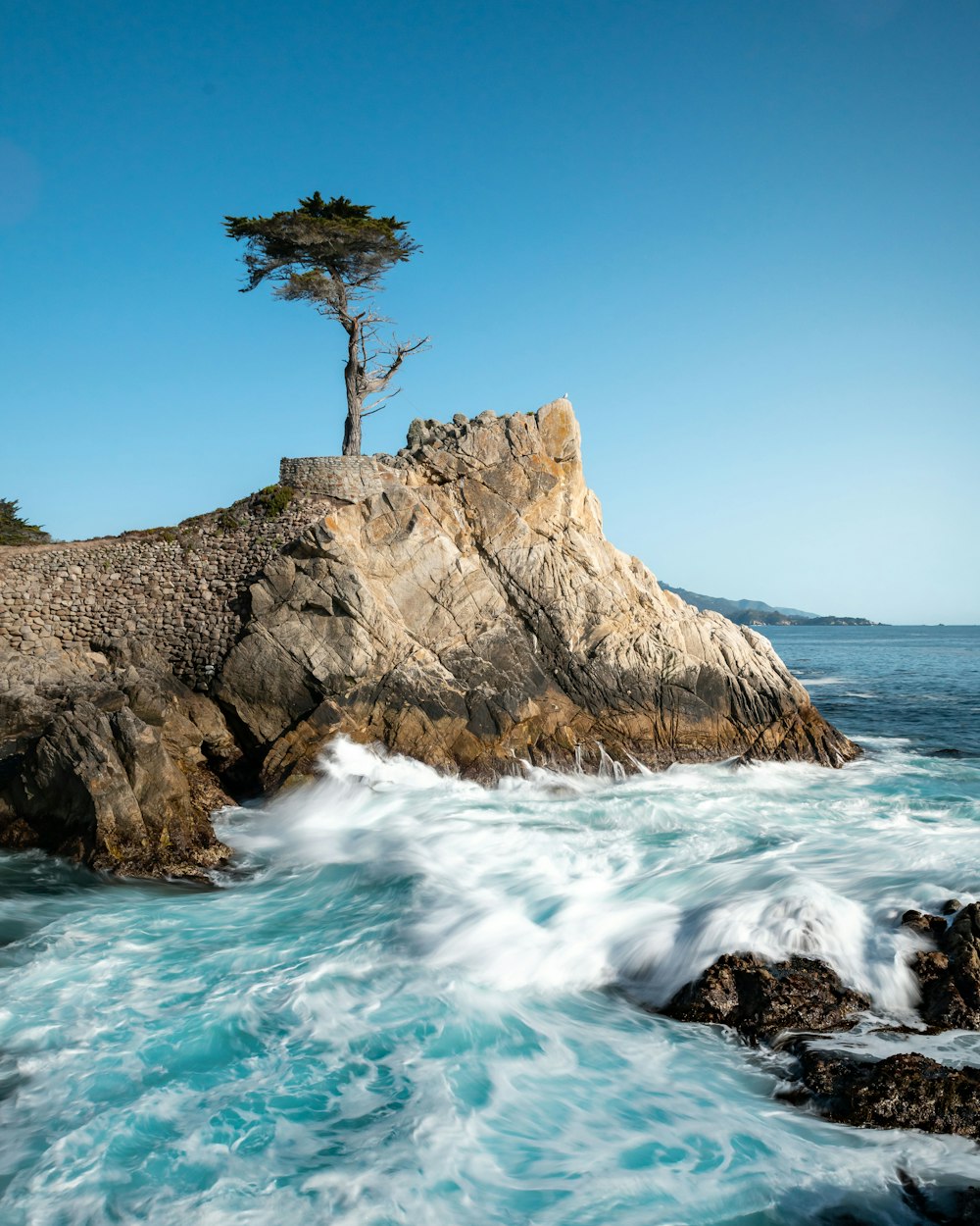 a lone tree sitting on a rock near the ocean