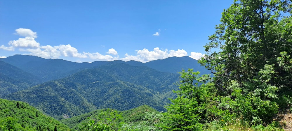 a scenic view of a mountain range with trees in the foreground