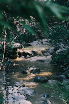 A serene river flowing gently through a sunlit forest, symbolizing spiritual journey.