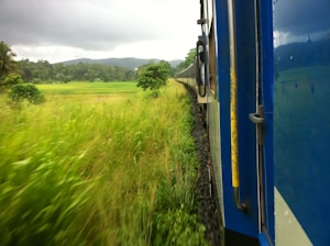 A scenic train gliding through lush green countryside under a clear blue sky.