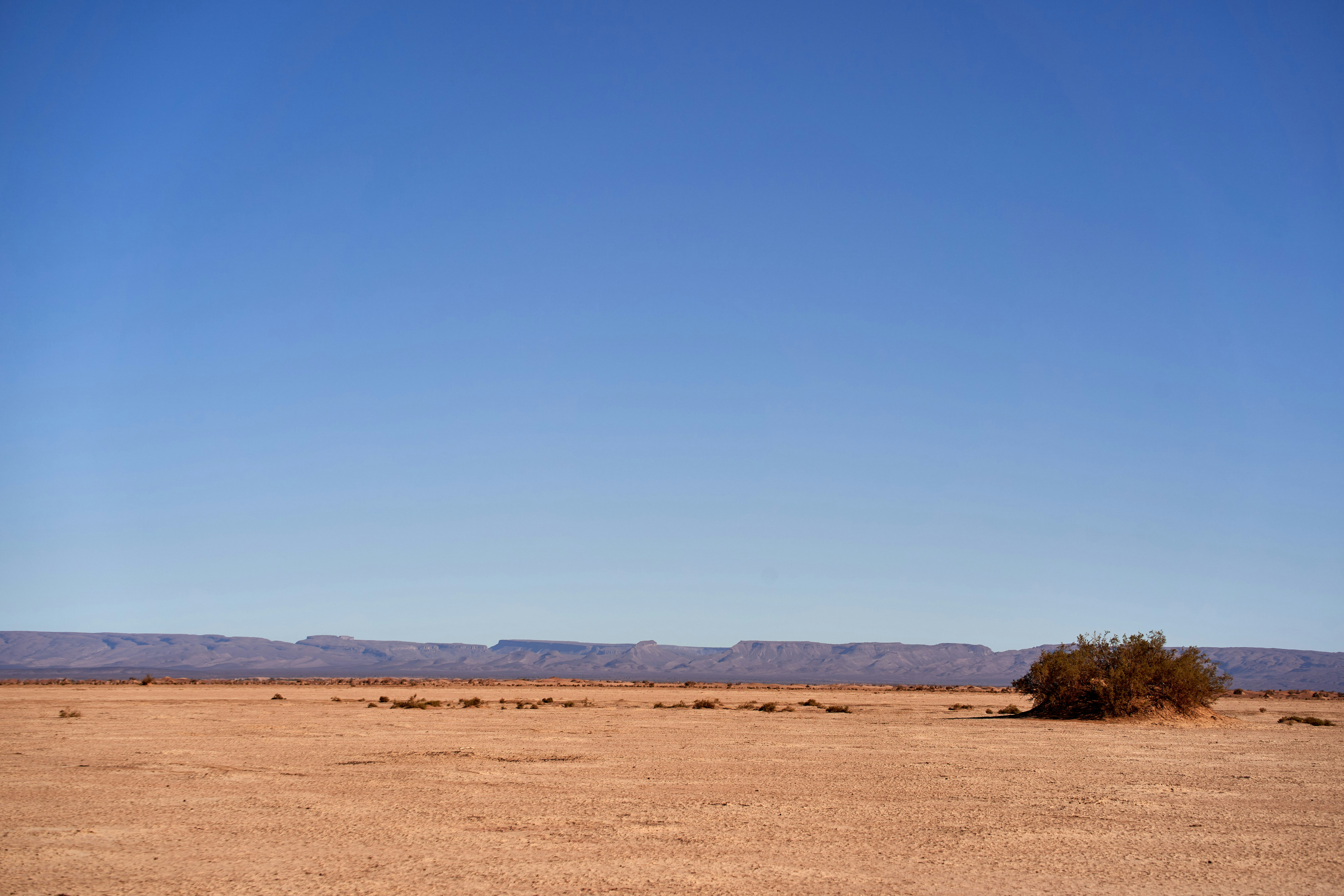 Photo by wolfgang_hasselmann