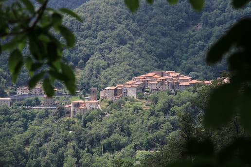 A small village with beige buildings and orange rooftops nestled in a dense forested hillside. The village features a prominent bell tower and is surrounded by lush, green trees, with some leaves in the foreground framing the scene.