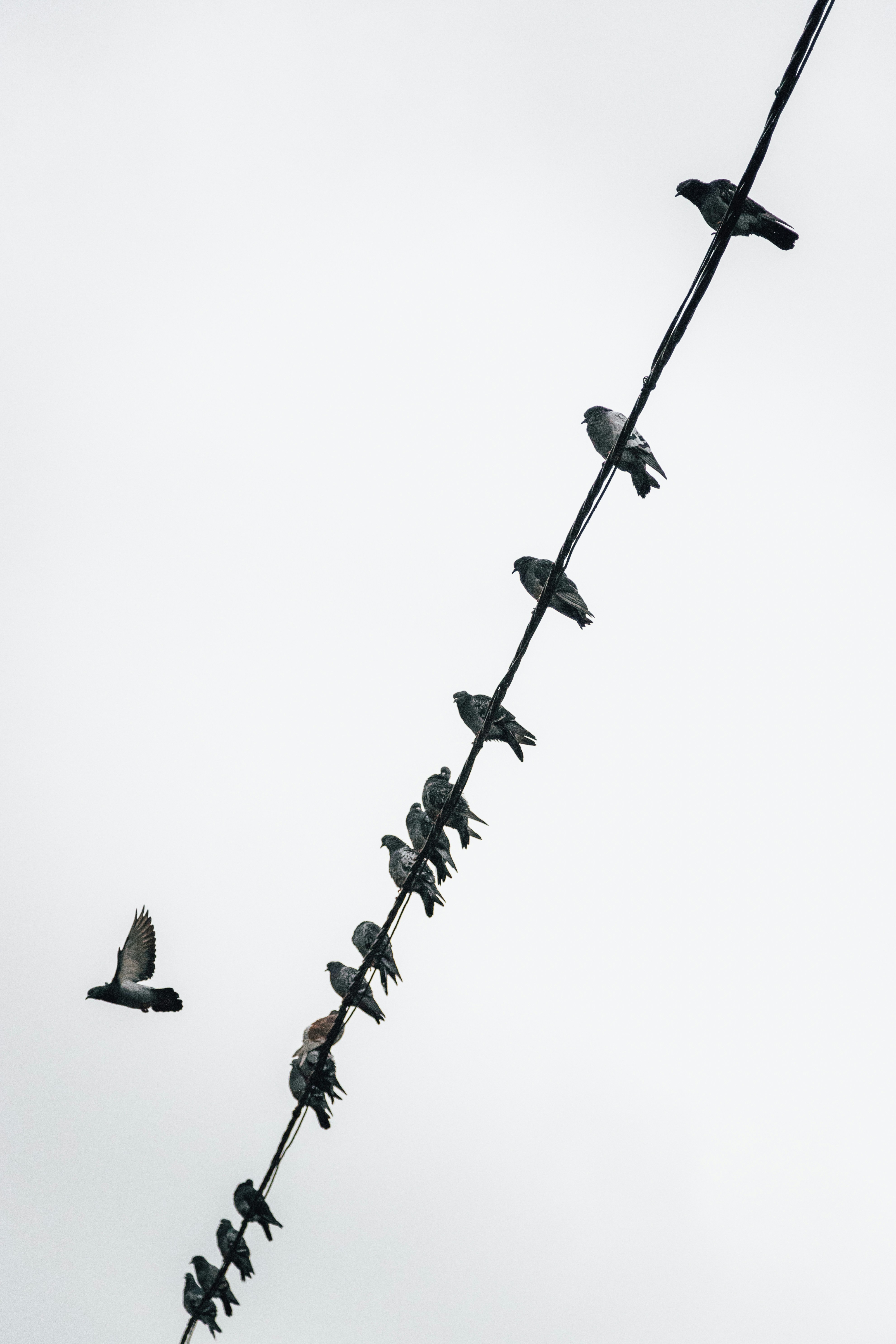 Photo by alexandristom