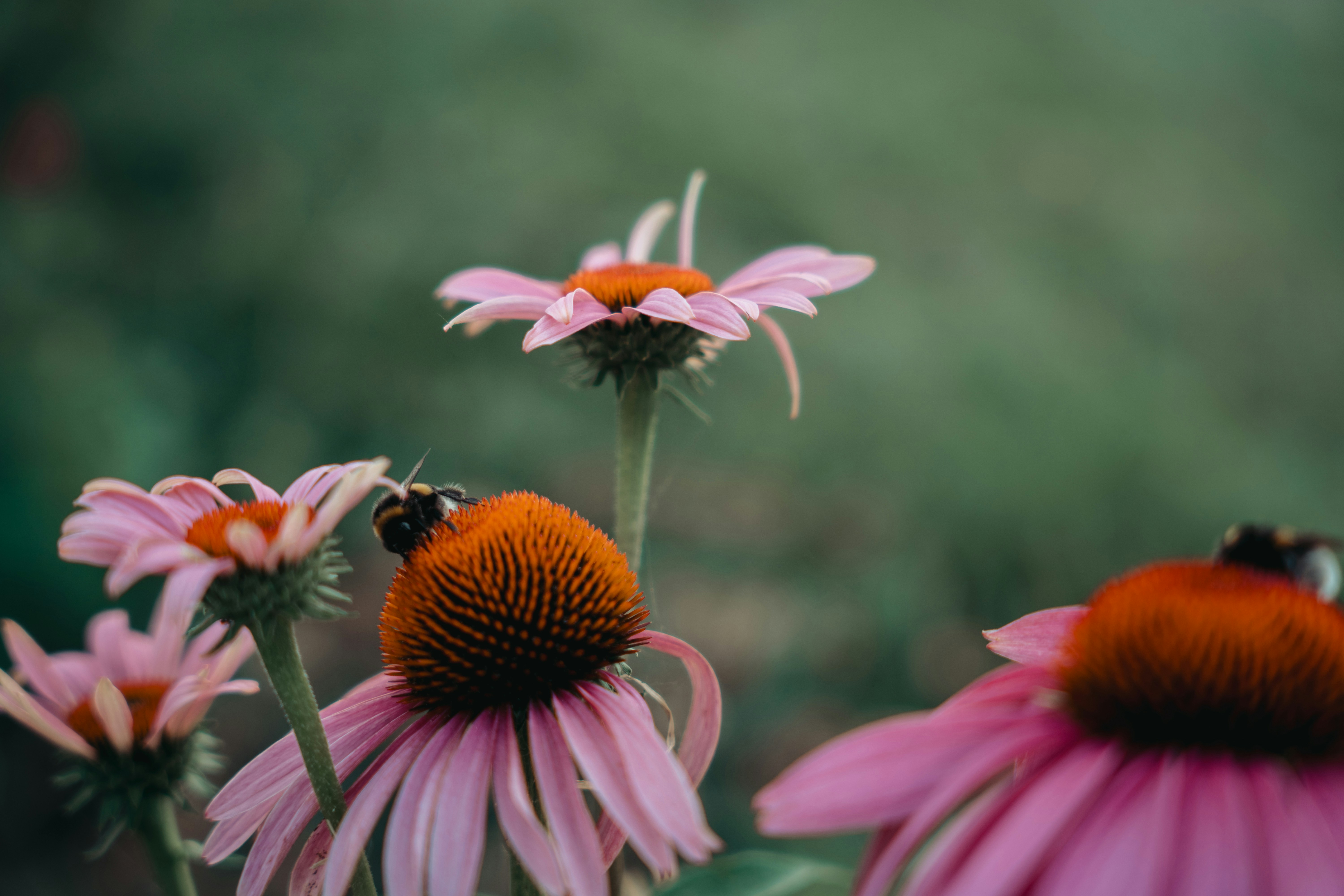 Photo by dermanuskript