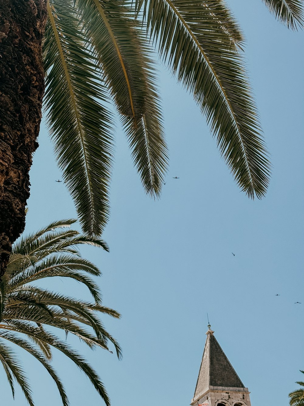 a tall tower with a clock on the top of it