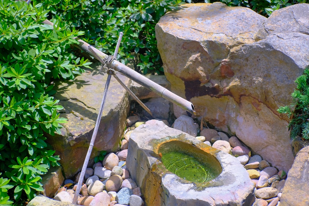 a garden fountain surrounded by rocks and greenery