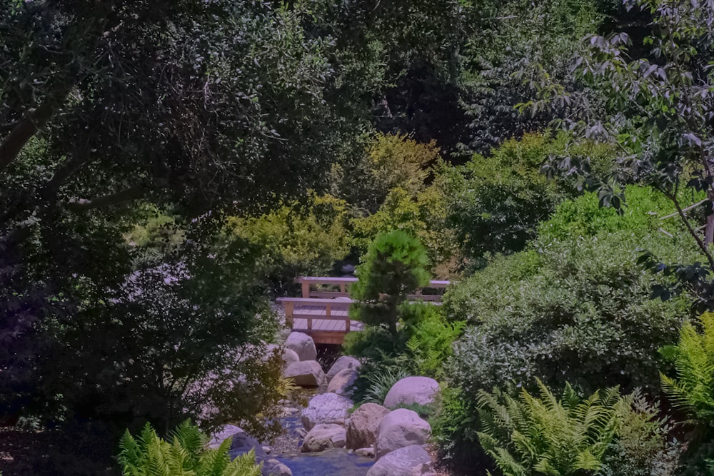 a small stream running through a lush green forest