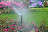 A lawn sprinkler waters a lush green garden surrounded by vibrant pink flowers. The water droplets form a mist as they spray, creating a dynamic and lively scene. In the background, there are blurred colorful plants and benches, suggesting a well-maintained park or public garden.