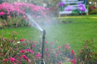 A lawn sprinkler waters a lush green garden surrounded by vibrant pink flowers. The water droplets form a mist as they spray, creating a dynamic and lively scene. In the background, there are blurred colorful plants and benches, suggesting a well-maintained park or public garden.