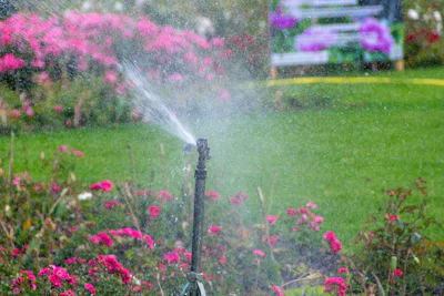 Close-up of drip irrigation lines gently watering colorful flower beds on a sunny day