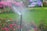 A lawn sprinkler waters a lush green garden surrounded by vibrant pink flowers. The water droplets form a mist as they spray, creating a dynamic and lively scene. In the background, there are blurred colorful plants and benches, suggesting a well-maintained park or public garden.